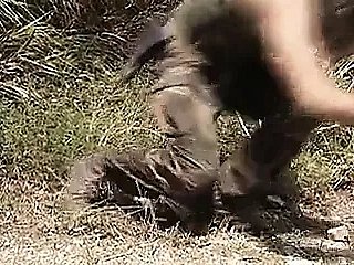 Crímenes de guerra voluptuous (1995)