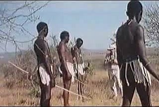 zakar besar Afrika! safari sebenar!