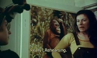 아니타 1973.